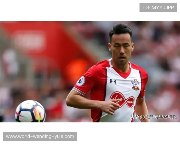 南安普顿足球俱乐部历史回顾与未来发展展望分析