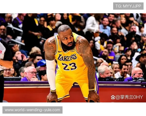 湖人队新赛季阵容调整詹姆斯迎来生涯新挑战未来有望再创辉煌